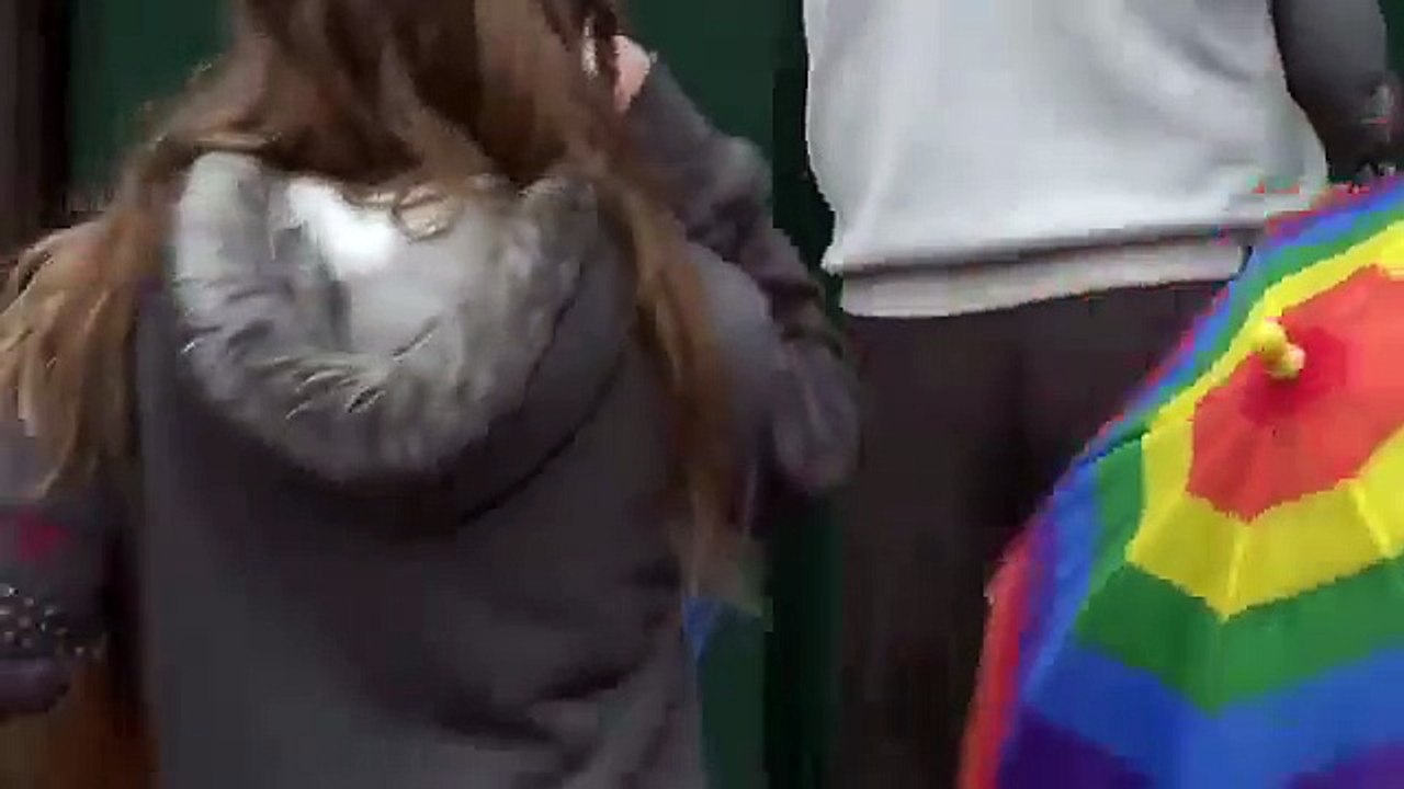 レッドパンダのアーティスト