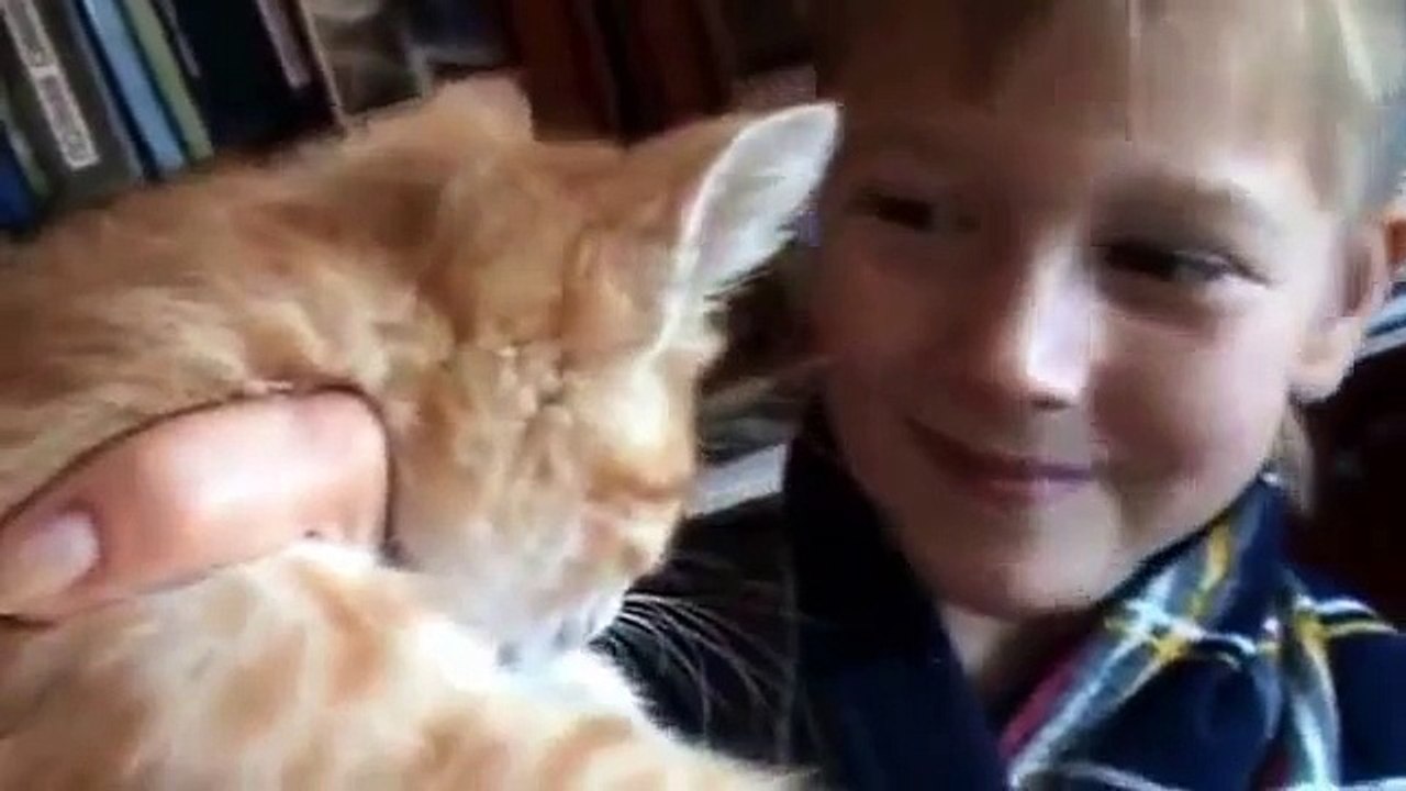 猫は怒って話して！