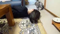 猫は女の子と遊びます