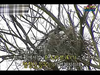 하이원정선카지노『 ＇VBB555。COM＇ 』＼카지노사이트＼마틴 가능한 곳사설경마