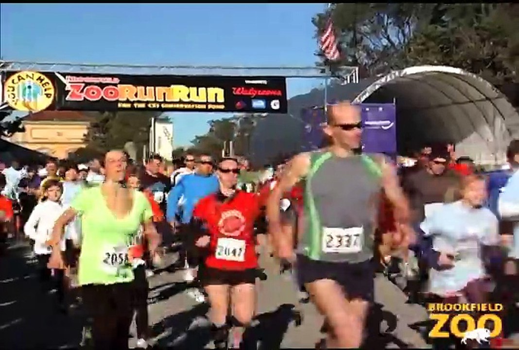 Bison and Wolves in the Snow Zoo Run Run