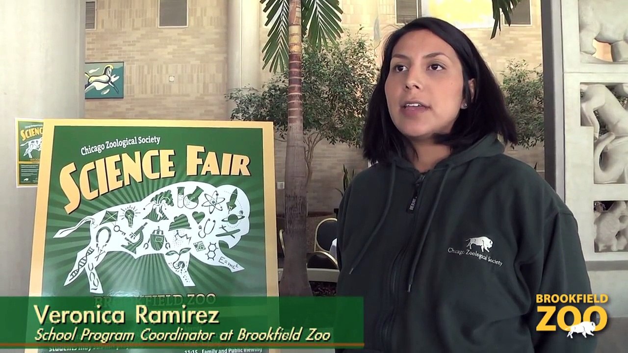 Bison and Wolves in the Snow Science Fair
