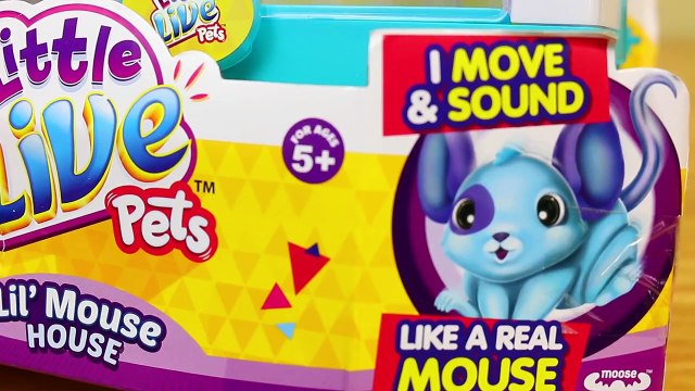 SHOPKINS PARTY!!! Giant Surprise Shopkins Lippy Lips & Surprise Toys Pinata & Rare GEMMA S