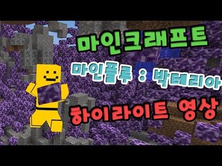 대재앙 컨텐츠 박테리아전쟁! 마인플루 2일차 하이라이트영상[양띵TV미소]Minecraft[Bacteria Mod]