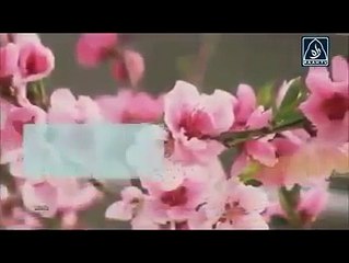 Emotional Heart Wrenching Tilawat e Quran