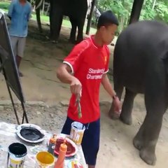 World's Most Talented Elephant