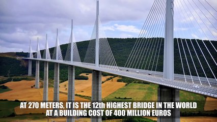 The Worst Black Friday Disasters Video