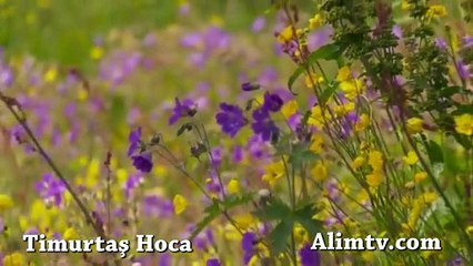 En'am Suresi 65. Ayet - Timurtaş Hoca