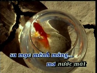 Nỗi Buồn Sa Mạc Nguyen Hung karaoke HD Beat chuan