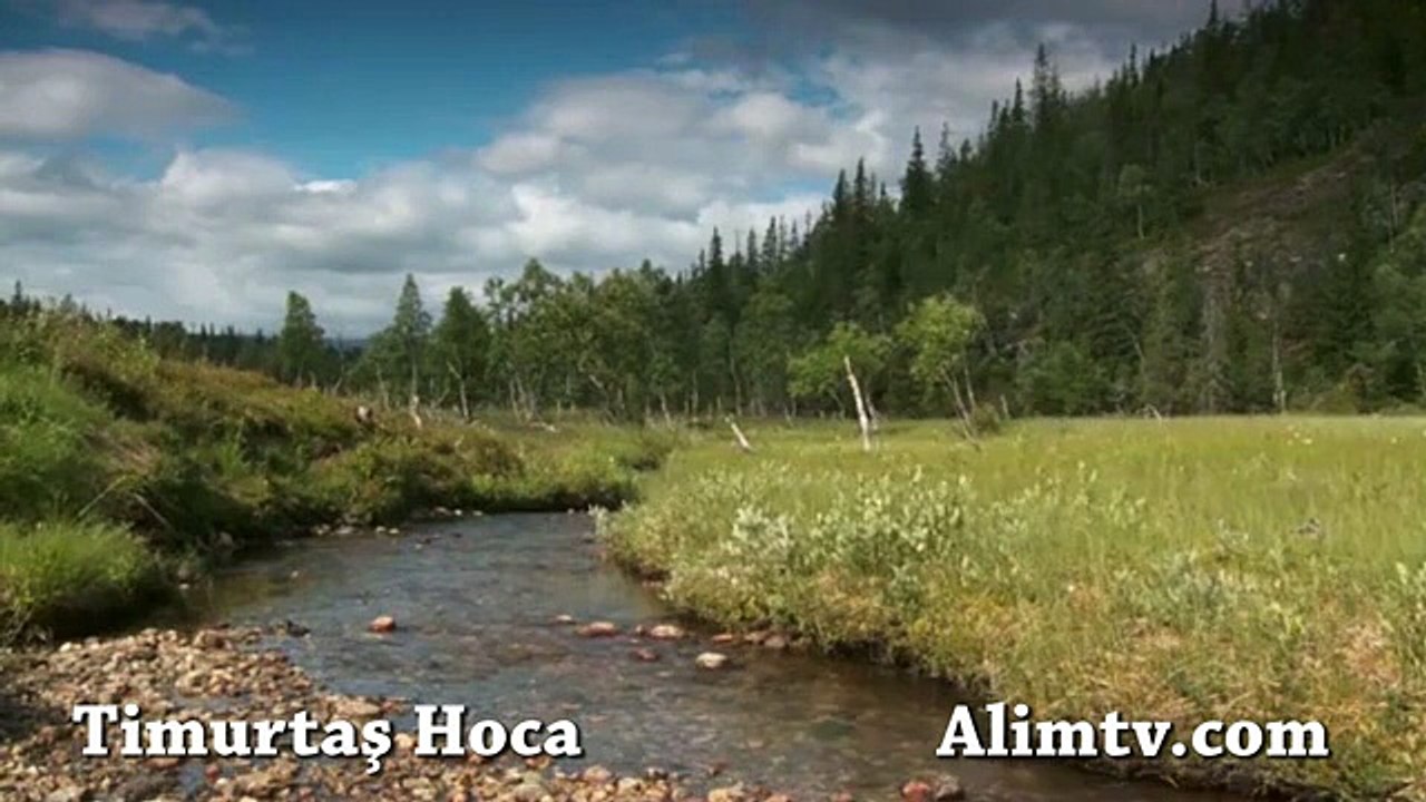 Allah c.c Bize Neden Ayetlerini Bildiriyor - Timurtaş Hoca