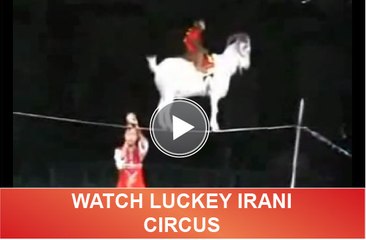 lucky irani circus (6)