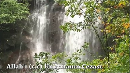 Allah'ı c.c unutmanın cezası - Timurtaş Hoca