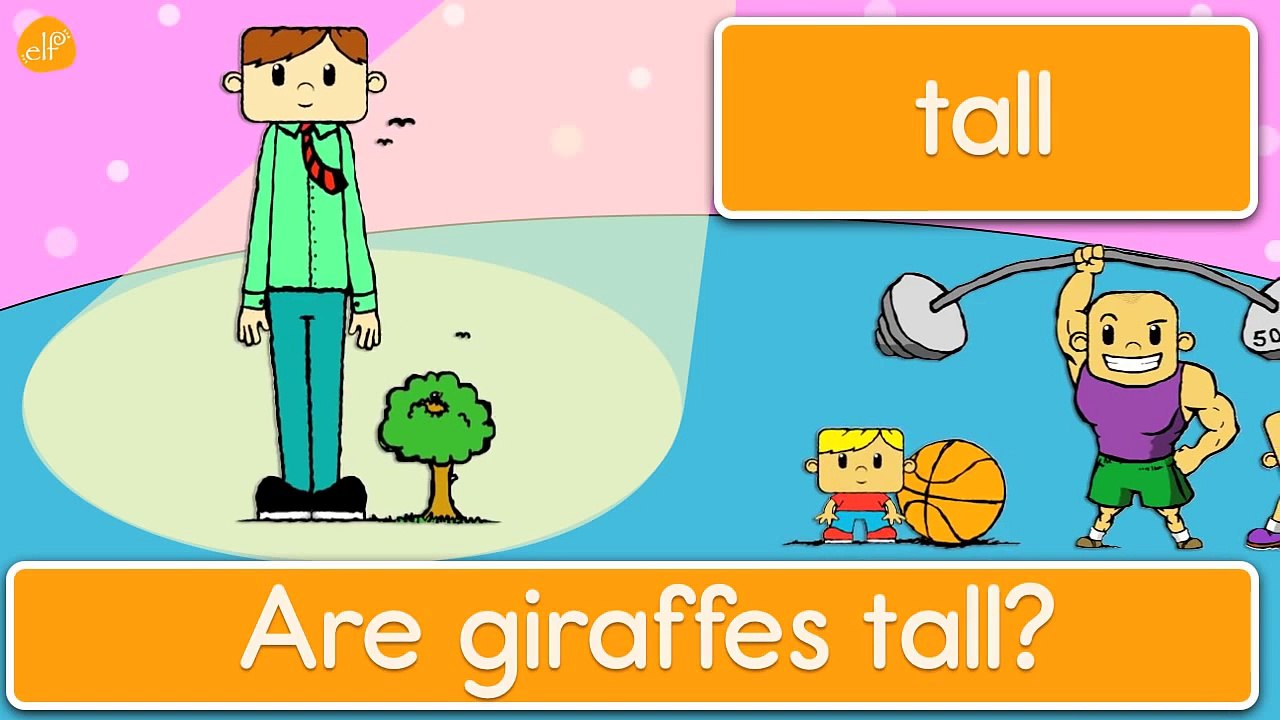 Learn Opposites - Phrases and Patterns for Kids