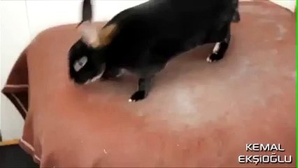 Plajdaki Sıcak Dakikalar (Fenaaa İzleyin)