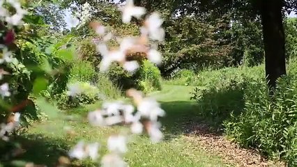 Mas como é que alguém tem coragem de conduzir um Rolls-Royce desta maneira?