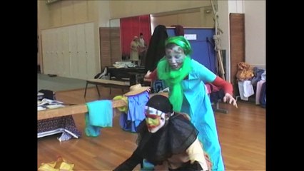 Le projet Chrysalide