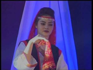 Ylli Dema - Programi i Vitit të Ri 2016