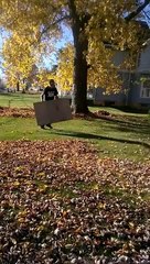 L'Astuce pour ramasser les feuilles mortes facilement.