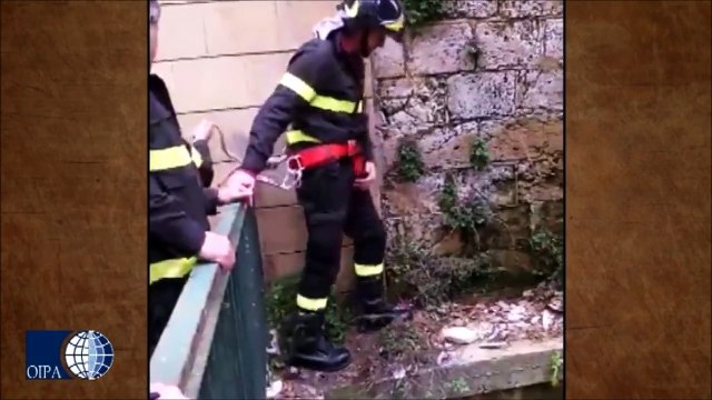 WWW.DOWNVIDS.NET-CUCCIOLO BLOCCATO, SALVO GRAZIE ALL’INTERVENTO DELL'OIPA ENNA E DEI VIGILI DEL FUOCO