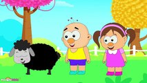 Baa Baa Black Sheep | Nursery Rhyme | Popular Nursery Rhymes for Babies by Hooplakidz TV