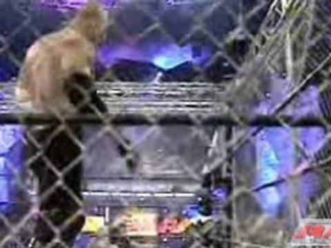 Kane vs Snitsky Steel cage