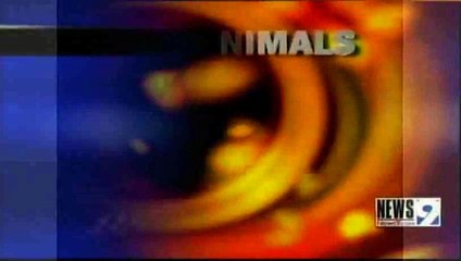 MISSING ANIMALS - OKLAHOMA 2009