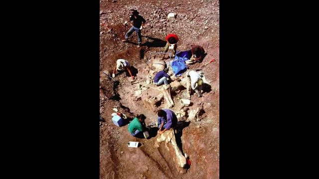 SHOCKING Giant Human Skeletons found