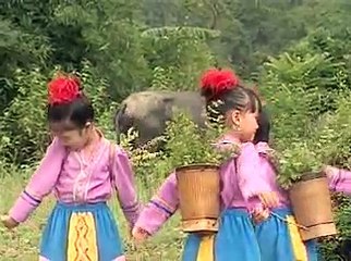 Gà gáy le te - Nhạc hay cho bé ngủ ngon