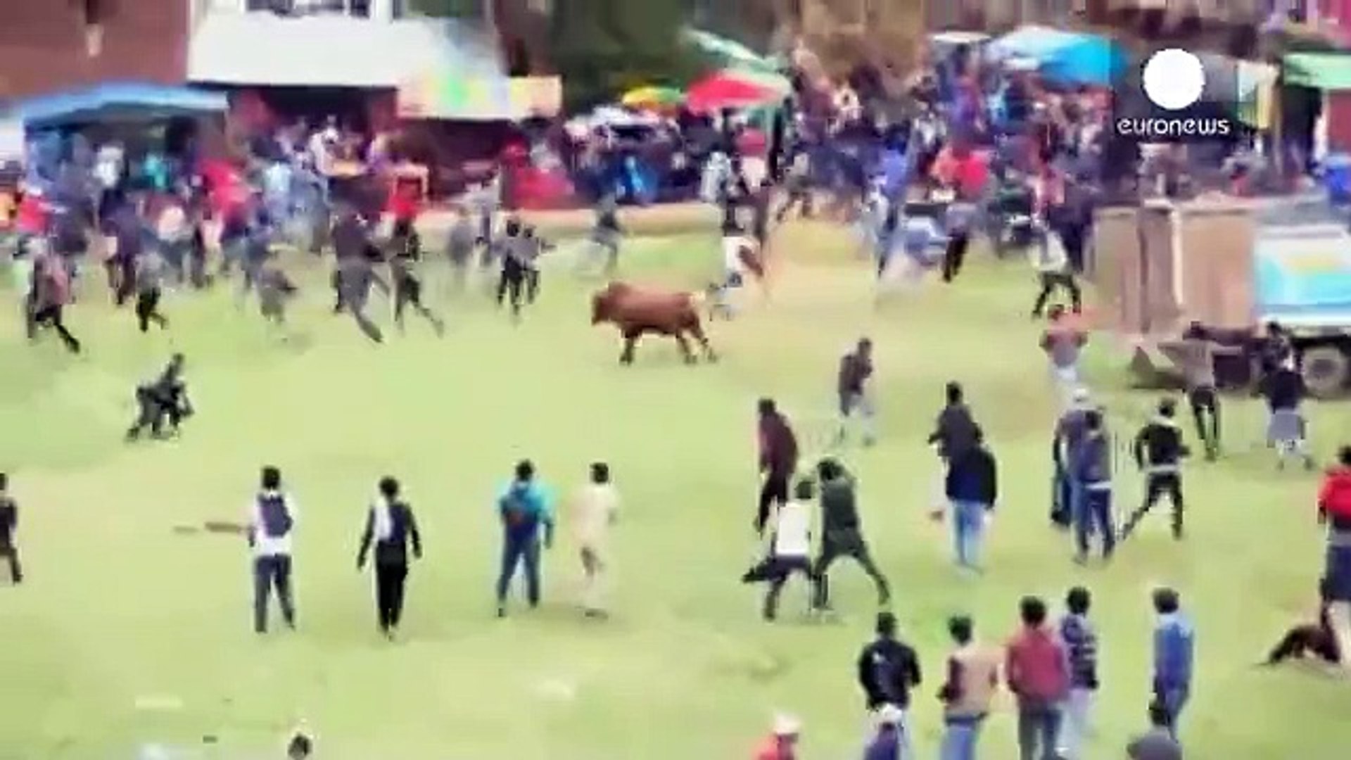 Corrida de touros na Espanha deixa sete feridos; veja vídeo