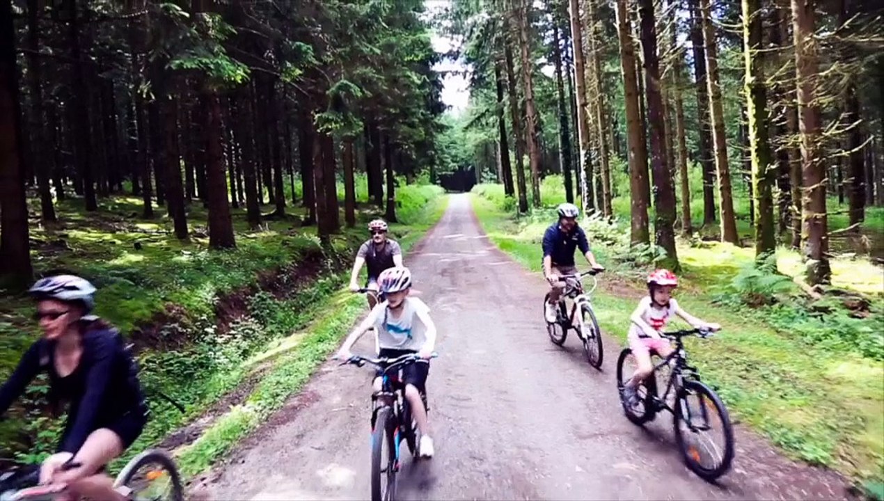 Meilleurs Voeux 2016