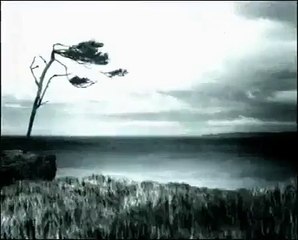 Le Cercle - The Ring