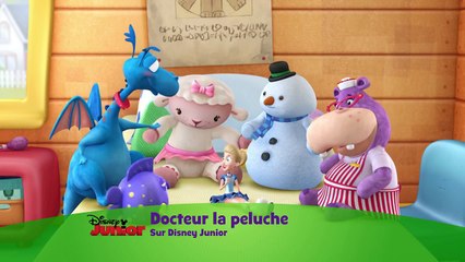 Docteur la peluche - Chanson : Dans un plâtre