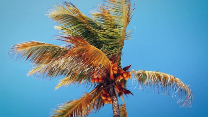 Motorcycle vs. Car Drift Battle 4 (Full 4K)