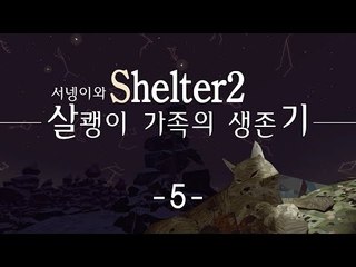 살쾡이 가족의 엄마가 되다 살쾡이 가족생존기 5편 Shelter2 [양띵TV서넹]
