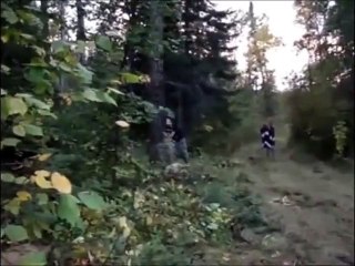 Adieu Ford Truck.... Camionnette écrasée par un arbre