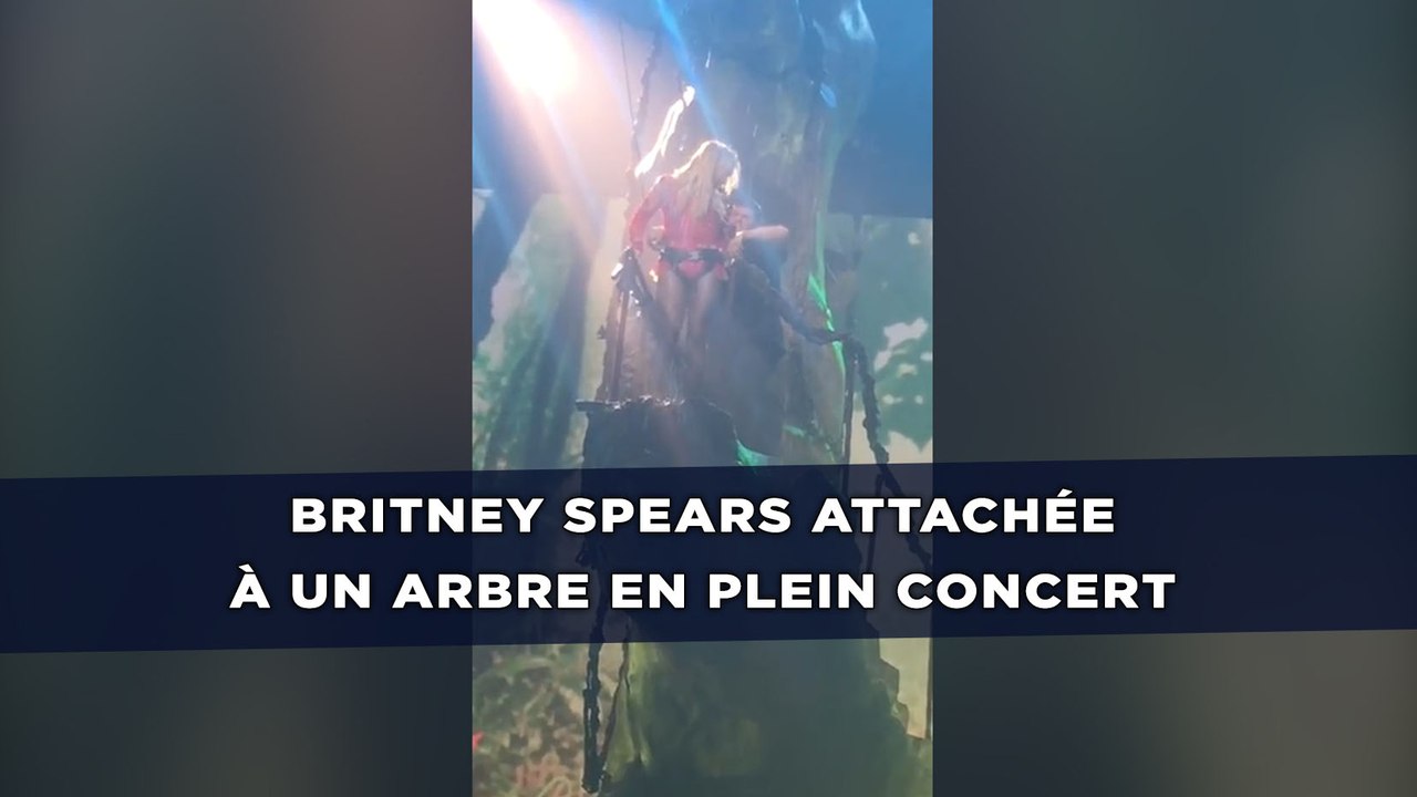 Britney Spears reste bloquée sur un arbre en plein concert