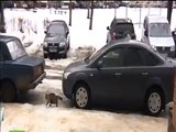 Bebeği donmaktan kurtaran kedi