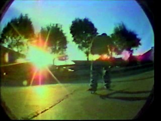 Daewon Song - Gullwing Revival