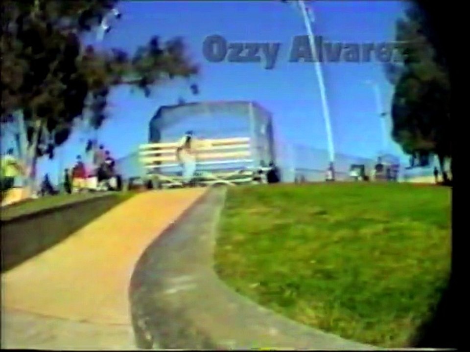 Shared - Gullwing Revival