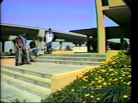 Shared - Gullwing Revival