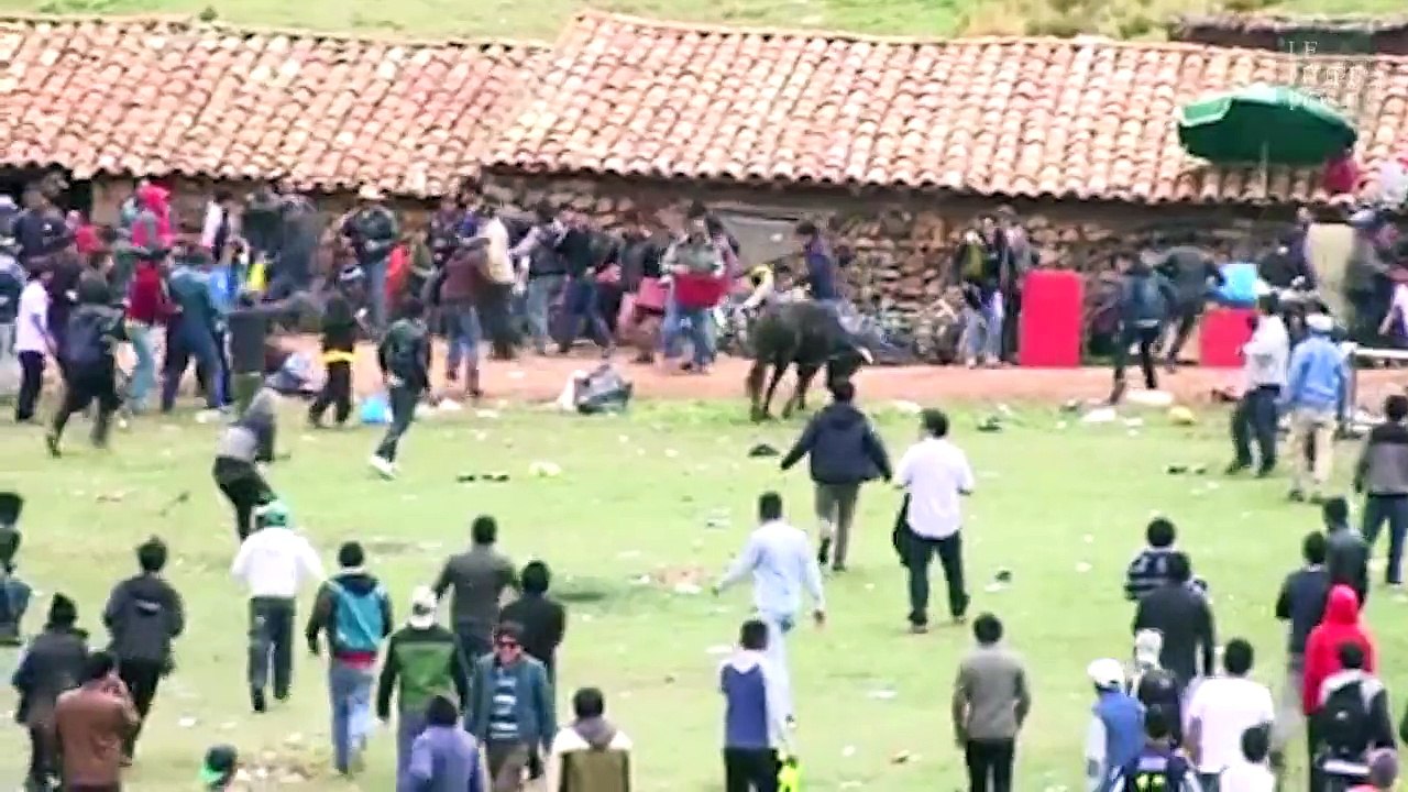 Les spectateurs d'une corrida attaqués par un taureau