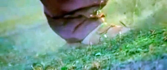 Krrish Trailer Unveiled 🎬