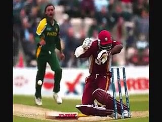 Shoaib Akhtar All Amazing Bouncers- The Terrorist