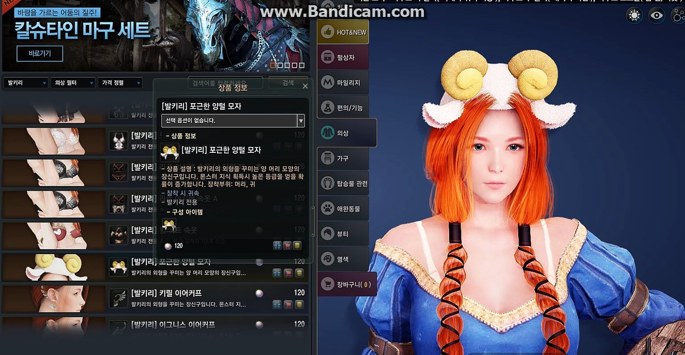 bandicam 2016-01-04 23-58-03-892