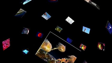 Thomas Suarez - Awesome Kid tedx Talk