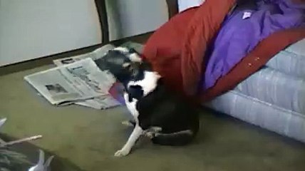 HÃY KHIÊU VŨ CÙNG TÔI