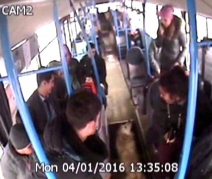 Soğukta Üşüyen Köpek, Halk Otobüsüne Binince İnmek İstemedi