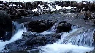 Natural Water Sounds / Babbling Brook / Meditation Nature Sounds / Rain Forest Sounds / Re