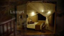 Honeymoon Destinations - Luxury Safari  Honeymoon | Tongole Wilderness Lodge