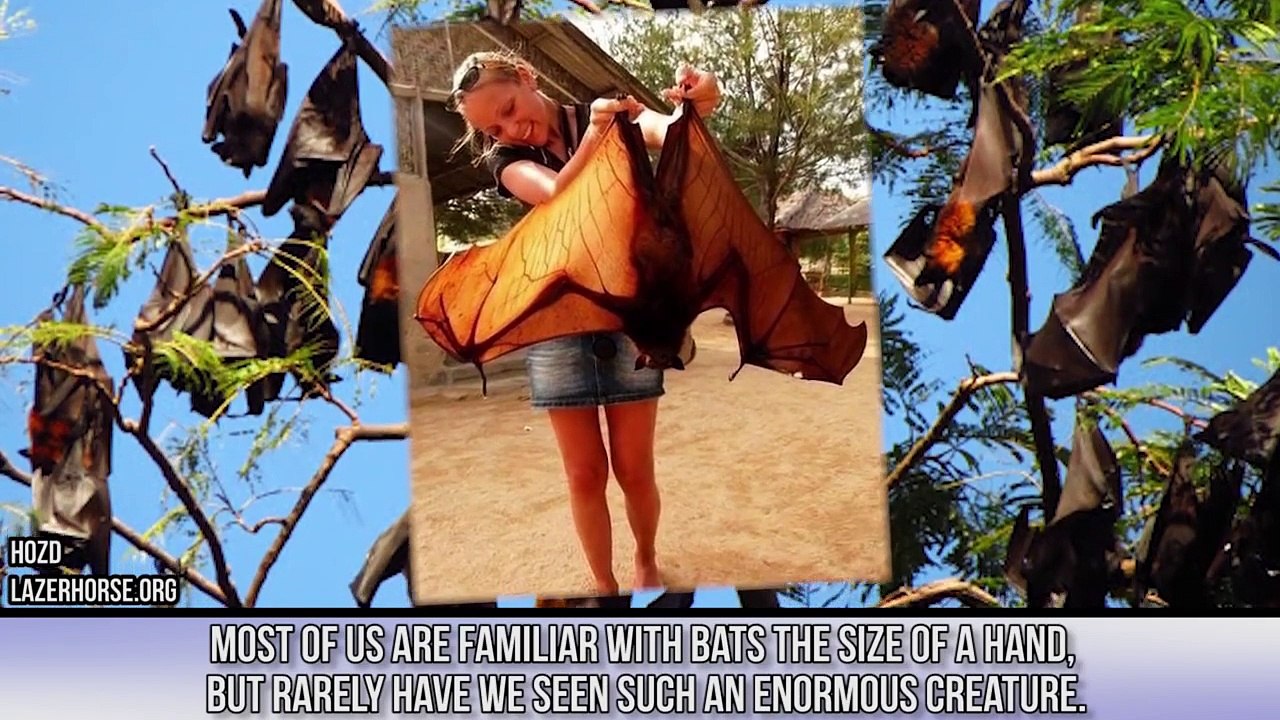 Incredible Photos You Won’t Believe Are Real